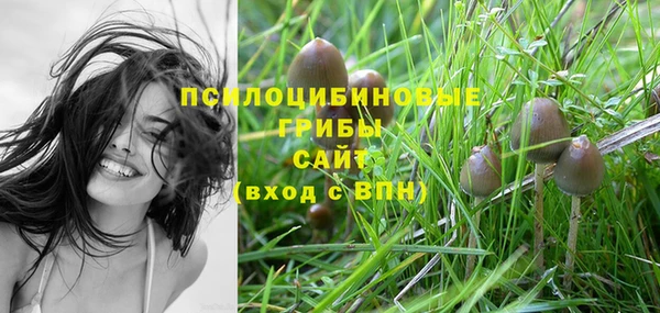 марки nbome Лиски