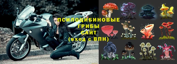 мет Липки