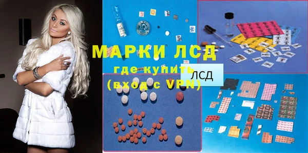ГАЛЛЮЦИНОГЕННЫЕ ГРИБЫ Себеж
