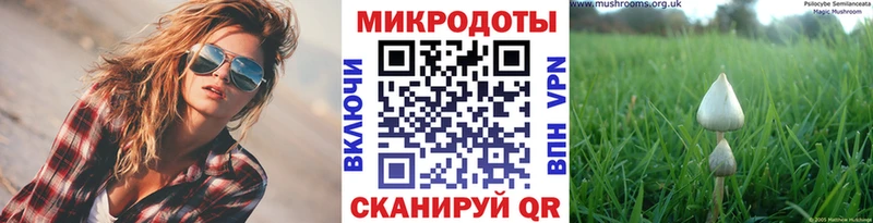 купить  сайты  Сосенский  Псилоцибиновые грибы Magic Shrooms 